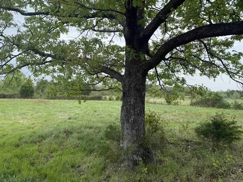 1162 Goff Rd, Quitman, AR 72131 photo 5