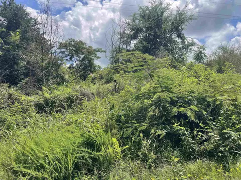 1455 Goff Rd, Quitman, AR 72131 photo 6