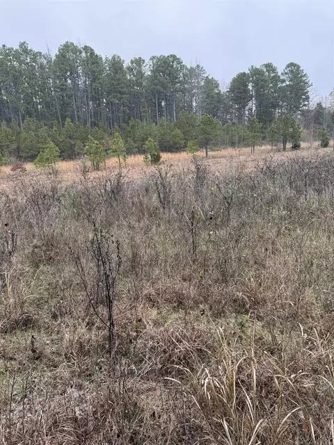 1455 Goff Rd, Quitman, AR 72131 photo 4