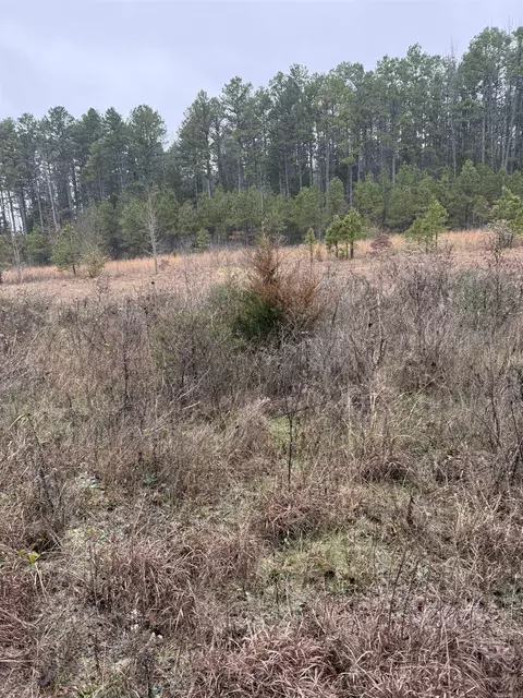 1455 Goff Rd, Quitman, AR 72131 photo 3