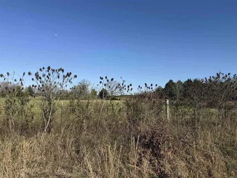 1455 Goff Rd, Quitman, AR 72131 photo 2