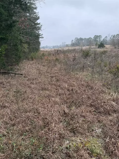 1455 Goff Rd, Quitman, AR 72131 photo 5