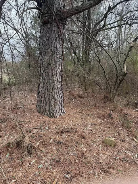 000 Lot 22 Griffin Farm Road Rd, Quitman, AR 72131