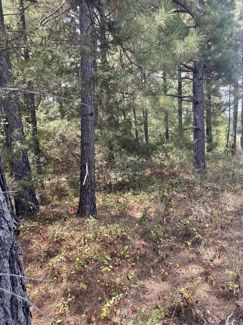 000 Lot 23 Griffin Farm Road Rd, Quitman, AR 72131