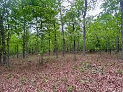 353 Lonnie Lee Rd, Fox, AR 72051 photo 23