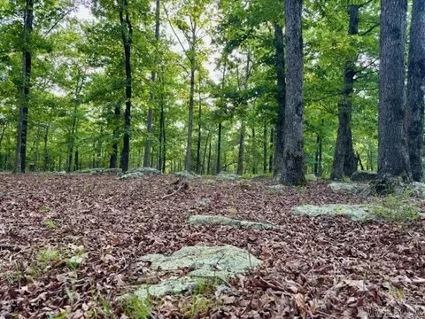 353 Lonnie Lee Rd, Fox, AR 72051 photo 24