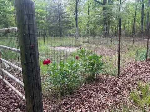 353 Lonnie Lee Rd, Fox, AR 72051 photo 22