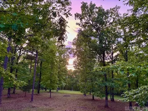 353 Lonnie Lee Rd, Fox, AR 72051 photo 26
