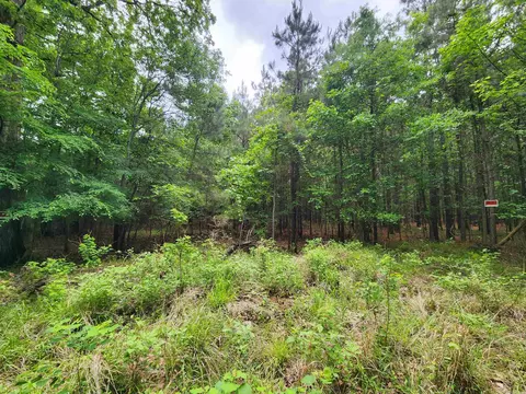 000 Sunsetwood St, Star City, AR 71667