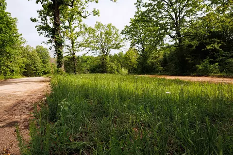 tbd Morriston Rd, Salem, AR 72576 photo 19