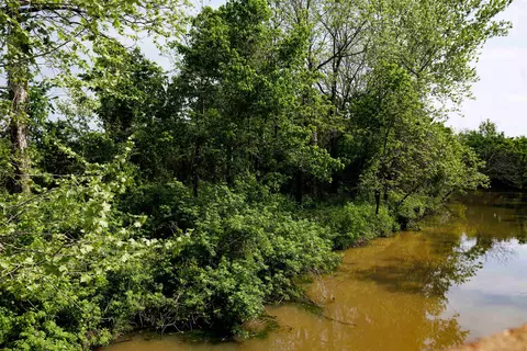 tbd Morriston Rd, Salem, AR 72576 photo 10