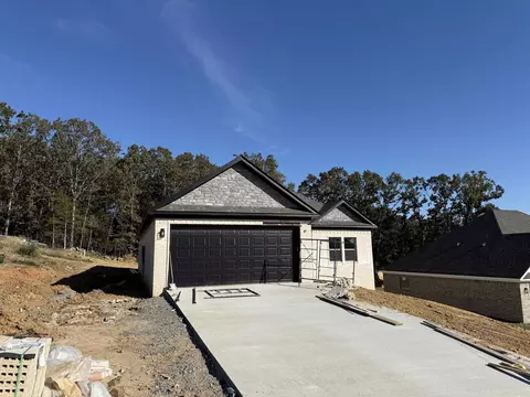Exterior - 506 Madeleine Cir, Austin, AR 72007 photo 4 of 4