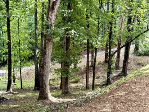 Exterior - 2215 Gwin Ln, Benton, AR 72019 photo 7 of 13