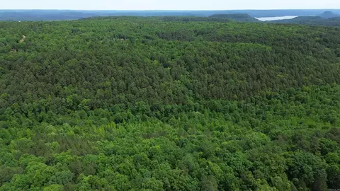 000 E Mountain Rd, Bee Branch, AR 72013 photo 22