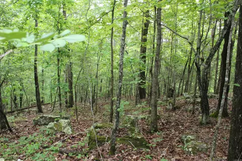 000 E Mountain Rd, Bee Branch, AR 72013 photo 31