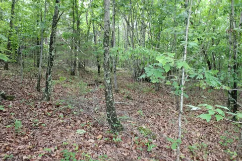 000 E Mountain Rd, Bee Branch, AR 72013 photo 30