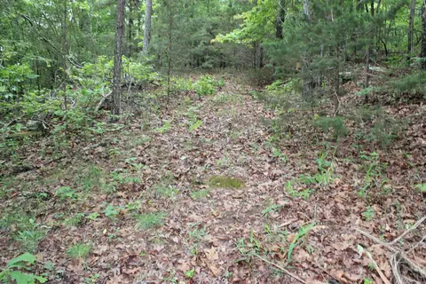 000 E Mountain Rd, Bee Branch, AR 72013 photo 33