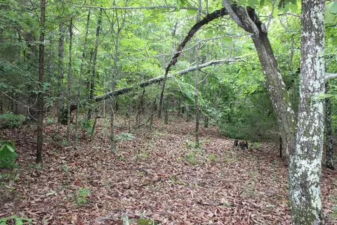 000 E Mountain Rd, Bee Branch, AR 72013 photo 28