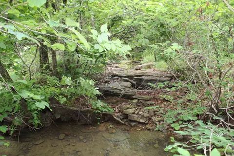 000 E Mountain Rd, Bee Branch, AR 72013 photo 12