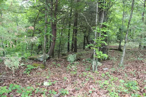 000 E Mountain Rd, Bee Branch, AR 72013 photo 34