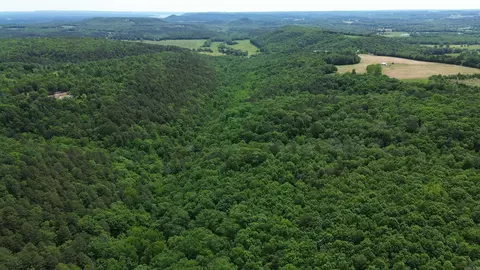 000 E Mountain Rd, Bee Branch, AR 72013 photo 2