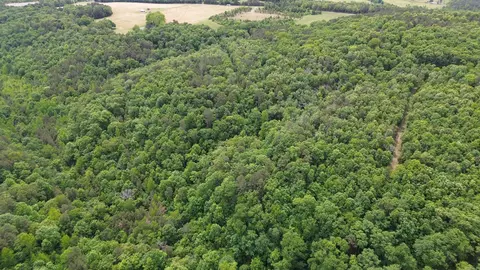 000 E Mountain Rd, Bee Branch, AR 72013 photo 24