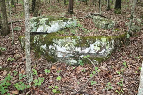 000 E Mountain Rd, Bee Branch, AR 72013 photo 14