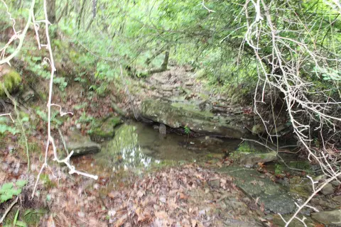 000 E Mountain Rd, Bee Branch, AR 72013 photo 13