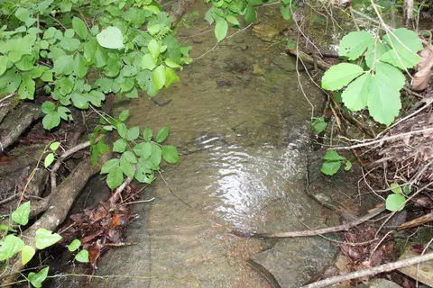 000 E Mountain Rd, Bee Branch, AR 72013 photo 7