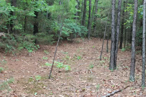 000 E Mountain Rd, Bee Branch, AR 72013 photo 36