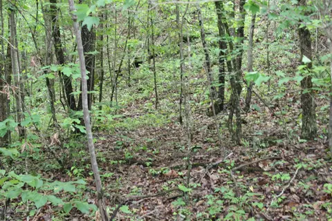 000 E Mountain Rd, Bee Branch, AR 72013 photo 16