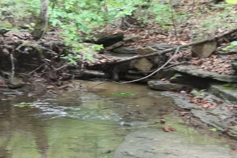 000 E Mountain Rd, Bee Branch, AR 72013 photo 4