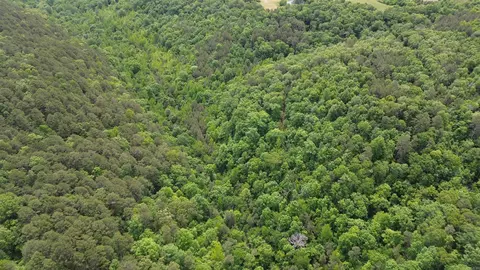 000 E Mountain Rd, Bee Branch, AR 72013 photo 23