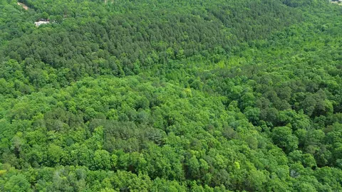 000 E Mountain Rd, Bee Branch, AR 72013 photo 21