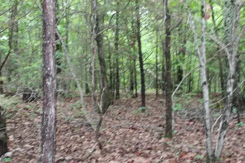 000 E Mountain Rd, Bee Branch, AR 72013 photo 37