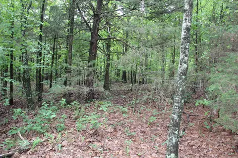 000 E Mountain Rd, Bee Branch, AR 72013 photo 35