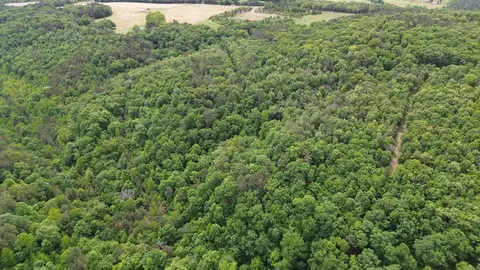 000 E Mountain Rd, Bee Branch, AR 72013 photo 27
