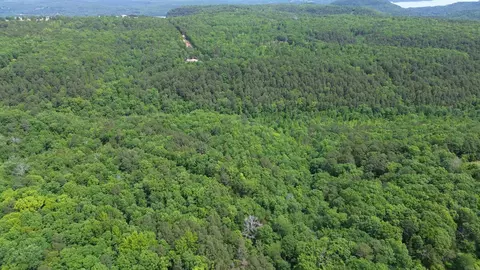 000 E Mountain Rd, Bee Branch, AR 72013 photo 25