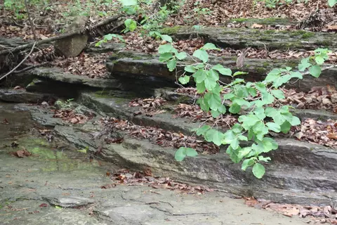 000 E Mountain Rd, Bee Branch, AR 72013 photo 6