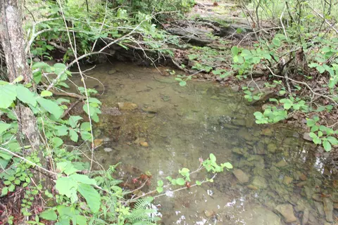 000 E Mountain Rd, Bee Branch, AR 72013 photo 11