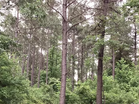00 Hwy 24, Prescott, AR 71857