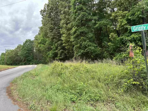 1400 Old Bear Rd, Royal, AR 71968 photo 4