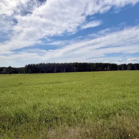 3785 Grant 9, Sheridan, AR 72150