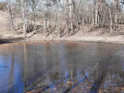 000 Robinson St, Mammoth Spring, AR 72554 photo 25