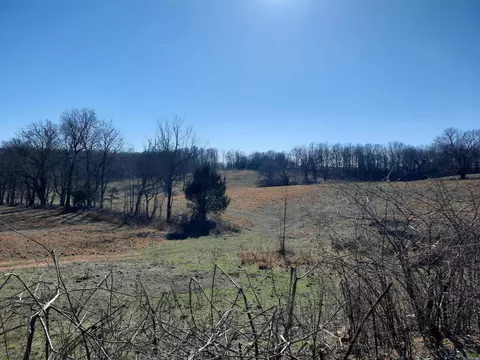 000 Robinson St, Mammoth Spring, AR 72554 photo 9
