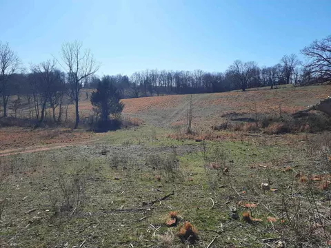 000 Robinson St, Mammoth Spring, AR 72554 photo 11