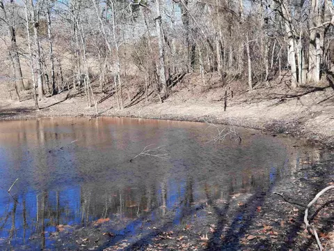 000 Robinson St, Mammoth Spring, AR 72554 photo 24