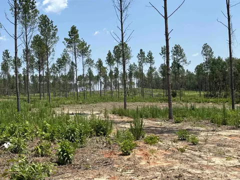 0 Grant 43, Sheridan, AR 72150
