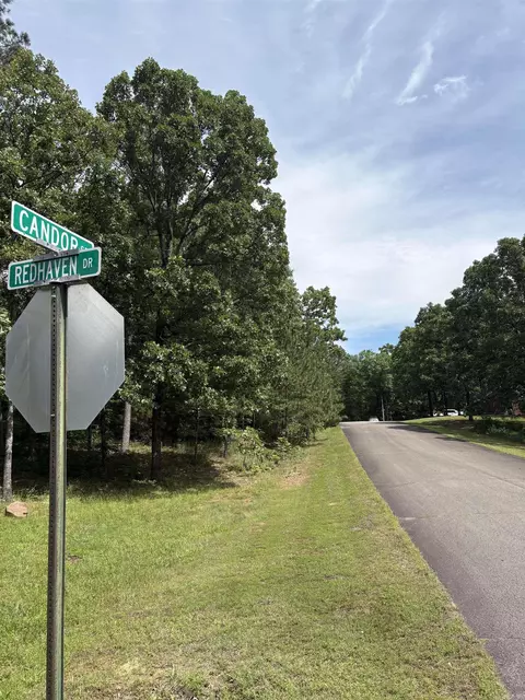 0000 Cresthaven St, Conway, AR 72034 photo 3