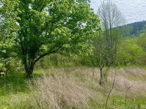 1939 Meadow Creek Rd, Clinton, AR 72031 photo 5
